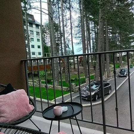 Theos-titova Apartment